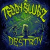 Download Video: DESTROY (Prod. TEDDY SLUGZ)