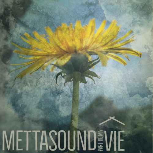 Mettasound Part de ma Vie 2