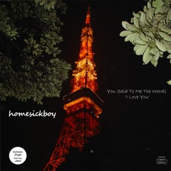 homesickboy - You Said To Me The Words 'I Love You'