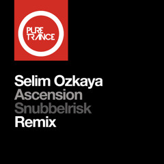 Ascension (Snubbelrisk Remix)