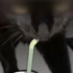 fuck august 25th and z is still my least favorite letter (w. jakhiy)