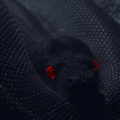 10 Toes (Snake Remix) Ft. FinesseK1NG