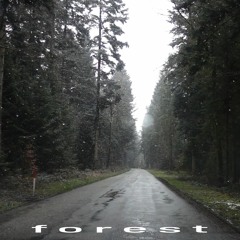forest [FREE LOFI BEAT]