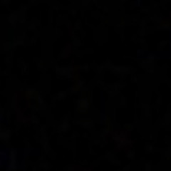 last song-peso pluma