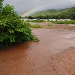 Trout Run Flood: People Like Us