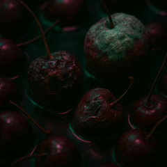 Rotten Fruit