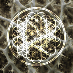 Bring Me The Horizon - Can You Feel My Heart (TERNEY Remix)