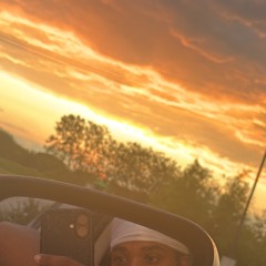 Bird in the sky