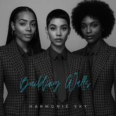 Building walls - Harmonie Sound Cloud