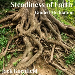 Steadiness of Earth Meditation – Jack Kornfield
