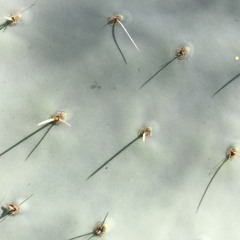 I'm looking through you-