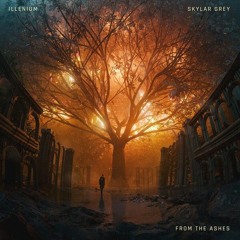 Illenium, Skylar Grey - From The Ashes (CAXUS Remix)