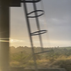 runs from Skate‘s house