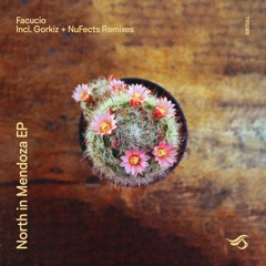 Facucio - North In Mendoza (NuFects  Peak  Remix)