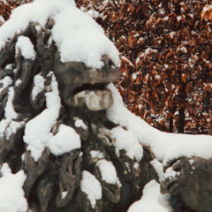 Forsch, Silbad - Lucid