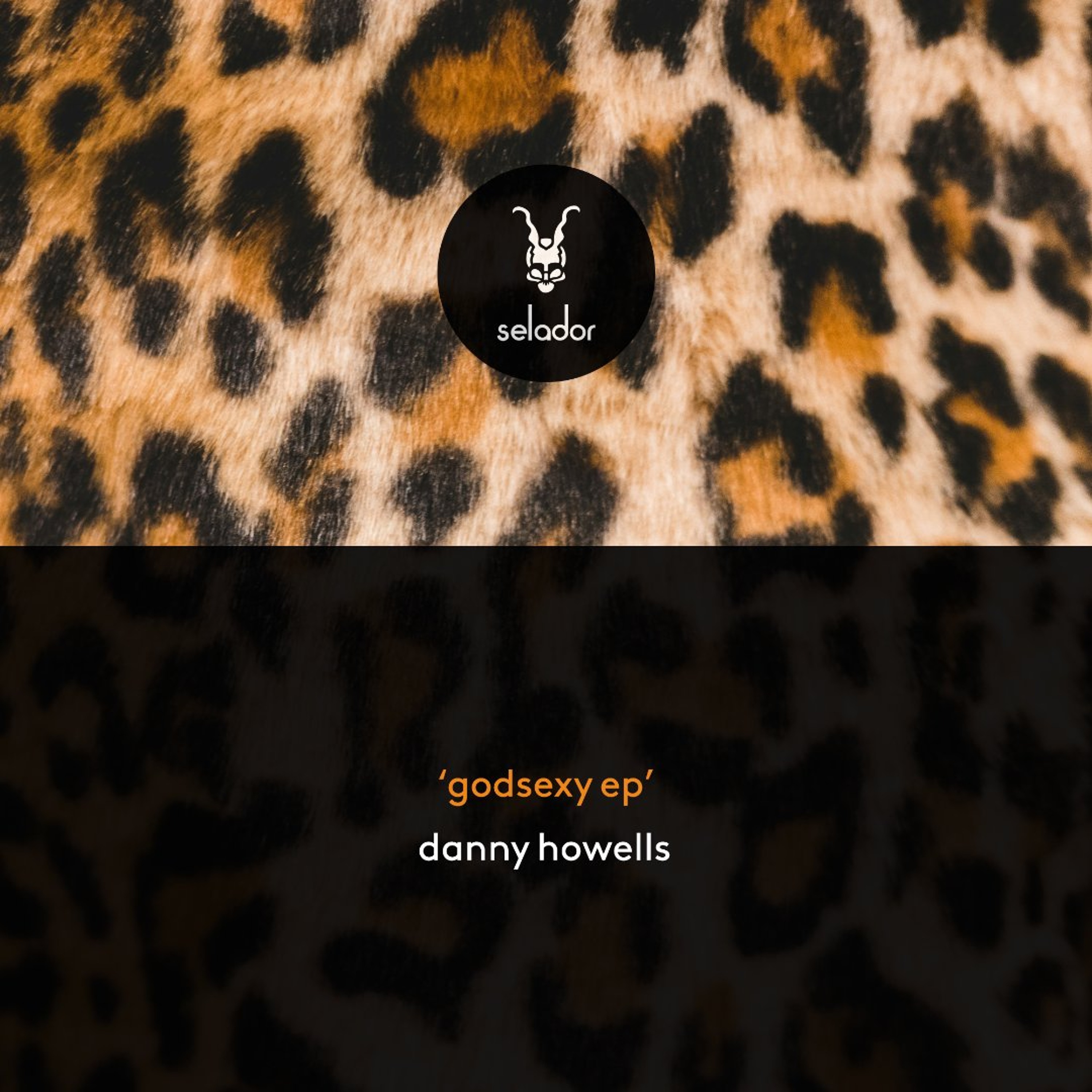*PREVIEW SNIPPET* Danny Howells - Shutdown