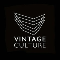 SET MAIS PESADO DO VINTAGE CULTURE 2019