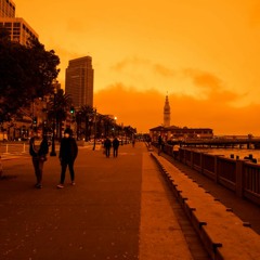 How Do Wildfires Affect Our Bodies?