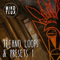 Techno Loops And Presets 1