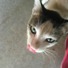 when ur gone (dubida)