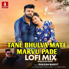 Tane Bhulva Mate Marvu Pade (Lofi Mix)