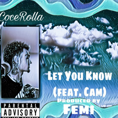 Let You Know (feat. Cam)(Prod. Femi)