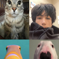 Retarded (tainiykick)