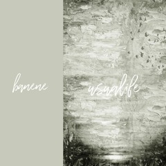 Usualife (Remix) feat. トシロ & Moro / banene