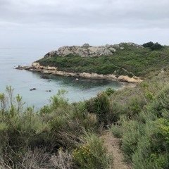 Wild Horses - Noah Gundersen Cover