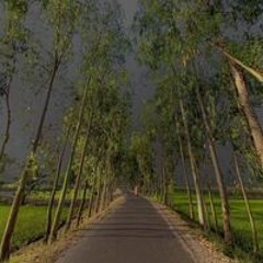 EndOfTheWorld