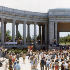 The Mirror - Polo & Pan (Krum's slowed & reverb mix)