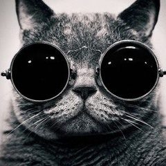 Colin’s Playlist 3