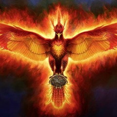 558 - KaUpRoD [Le PhoeniX]