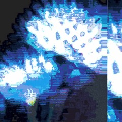 MIX #01: Mono No Aware