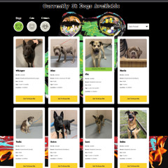 a pray for a dog to come and live here