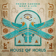 What A Life (Extended Mix)