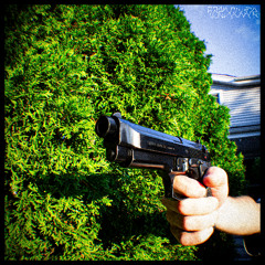 SHOOT YOUR GUN