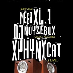 MEGA XL1 - BATMAN PARTY SESSION (31 - 08 - 10)