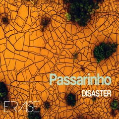 Disaster: 'Passarinho' #HypePick!!!