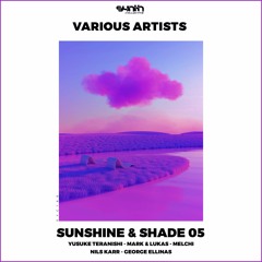Various Artists - Sunshine & Shade 05 -Synth Collective]