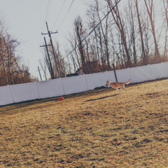 When you leave, I'll be fine - Second Place