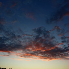 Discopolis X Ferrari