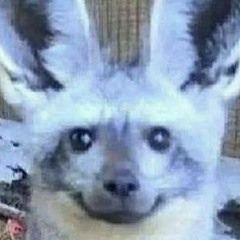 Elvis Depressedly - Hurt Everything (Cover)