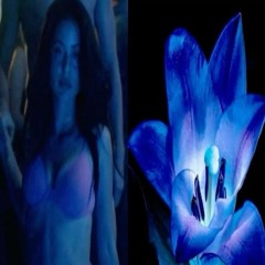 mhood556 - made you @shestipsy