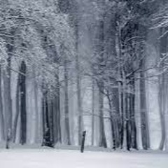 Undisturbed Snow