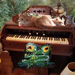 sunrise pump organ with sticky keys