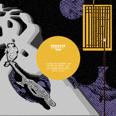 PREMIERE: Pegasvs - Music Not Numbers [Burnin Music]