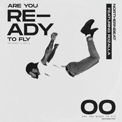 Are You Ready To Fly ft. Rozalla (Del Gibbons House Mix)