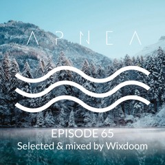 Episode 65 - Selected & Mixed by Wixdoom