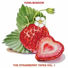 THE STRAWBERRY TAPES VOL. 1